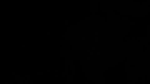 ---DYLAN--- online show from March 11, 2025, 11:48 pm