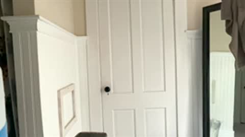 Dynasty online show from December 17, 2025, 6:25 pm