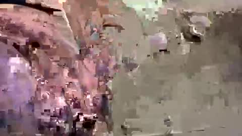 Snapshot of easye4015 chatting on January 26, 2025, 7:41 pm Easye online show from January 26, 2025, 7:41 pm