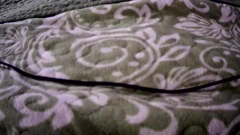 eatermo online show from April 18, 2026, 7:34 am