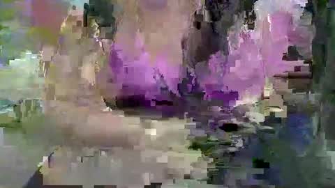 ebonybigtitqueen3 online show from November 4, 2025, 1:48 am