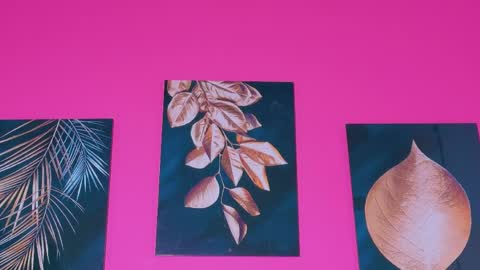 ebonyndsavage online show from April 9, 2026, 6:19 am