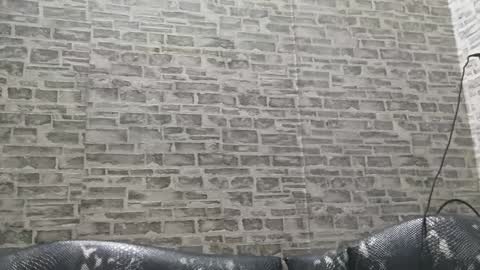 Snapshot of edithmanning chatting on January 15, 2025, 3:33 am edithmanning online show from January 15, 2025, 3:33 am