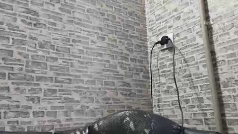 Snapshot of edithmanning chatting on February 10, 2025, 12:29 pm edithmanning online show from February 10, 2025, 12:29 pm