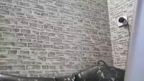 Snapshot of edithmanning chatting on February 18, 2025, 1:55 pm edithmanning online show from February 18, 2025, 1:55 pm