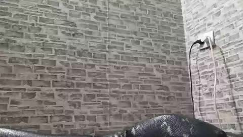 Snapshot of edithmanning chatting on March 6, 2025, 3:45 pm edithmanning online show from March 6, 2025, 3:45 pm