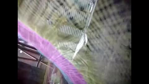 eirma7991 online show from February 25, 2026, 10:30 pm