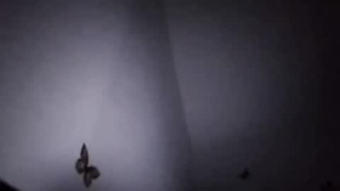 Snapshot of ekspansion chatting on January 8, 2026, 4:37 am Ekspansion online show from January 8, 2026, 4:37 am