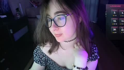 If you like it when I meow give me a thumbs up online show from December 13, 2024, 12:17 pm