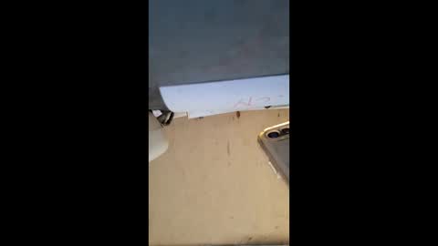 elaine33mae online show from March 3, 2026, 6:41 am