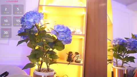 Elasummeer online show from November 20, 2025, 11:54 am