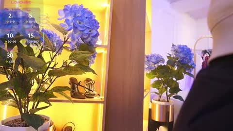 Elasummeer online show from November 24, 2025, 11:54 am