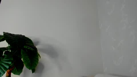 My name is ElizaPVT is open online show from February 22, 2025, 11:03 pm