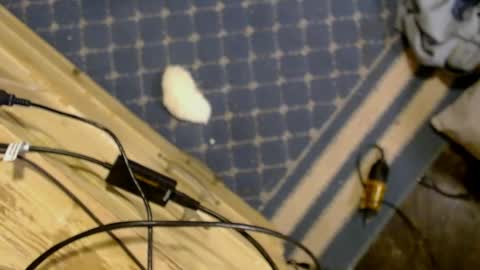 Snapshot of elizabeth_aron chatting on March 29, 2026, 8:03 am elizabeth_aron online show from March 29, 2026, 8:03 am
