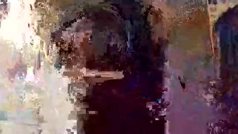 elizabit online show from April 5, 2026, 9:28 am