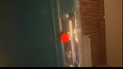 Snapshot of elizastorm chatting on July 10, 2026, 8:11 pm Eliza online show from July 10, 2026, 8:11 pm