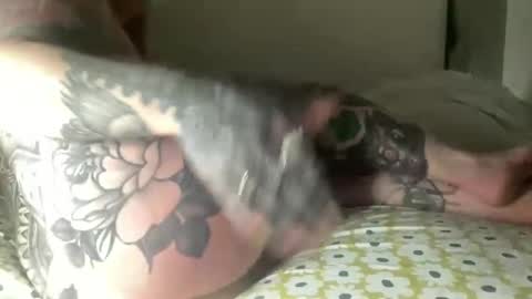 Snapshot of ellehendrix chatting on March 15, 2026, 4:40 am ellehendrix online show from March 15, 2026, 4:40 am