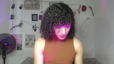  . online show from February 24, 2026, 7:12 pm