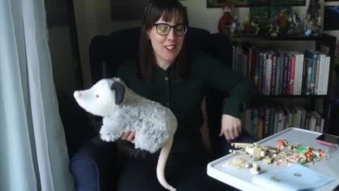 Elly Naomi online show from January 31, 2025, 4:38 pm