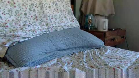 elviscash online show from April 9, 2026, 1:16 pm