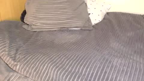 Elysey online show from February 3, 2026, 6:46 pm