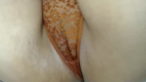 E L Z A  online show from March 3, 2025, 6:22 pm