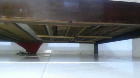 E L Z A  online show from March 4, 2025, 3:37 pm