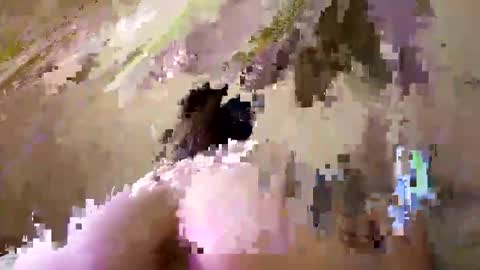 Emily online show from September 26, 2025, 8:13 pm