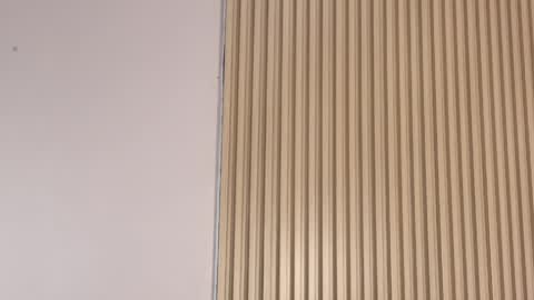 Emily online show from April 3, 2026, 12:25 pm