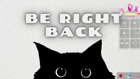   online show from April 16, 2026, 11:33 am