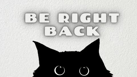   online show from May 5, 2026, 11:29 am