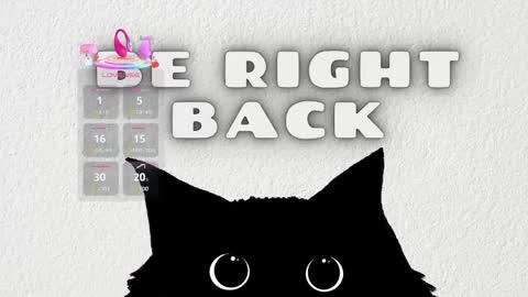   online show from May 14, 2026, 11:28 am