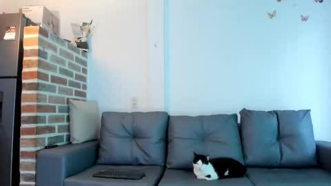 Snapshot of emmabrantt chatting on February 18, 2026, 12:34 pm Emma Brant online show from February 18, 2026, 12:34 pm