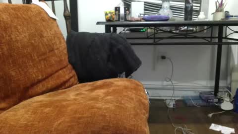 Snapshot of empusalamia chatting on January 18, 2025, 11:22 pm empusalamia online show from January 18, 2025, 11:22 pm