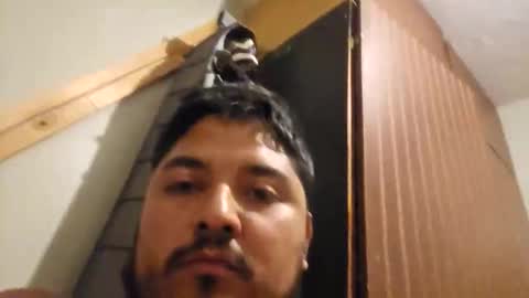 Snapshot of engineer_model_2022 chatting on March 1, 2026, 4:25 am engineer_model_2022 online show from March 1, 2026, 4:25 am