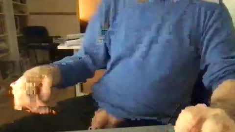 englefield online show from December 15, 2024, 7:46 am