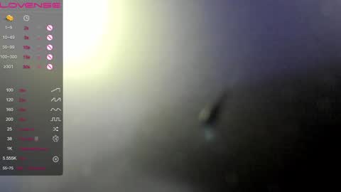 Erica online show from January 11, 2025, 12:33 am