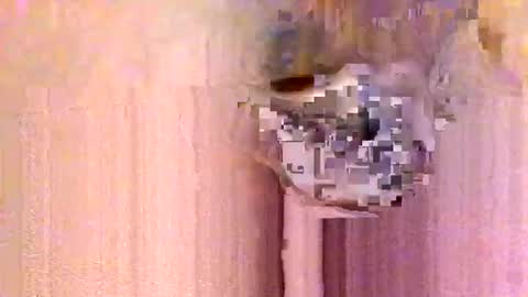 Snapshot of erick912 chatting on January 13, 2026, 12:54 pm take it easy online show from January 13, 2026, 12:54 pm