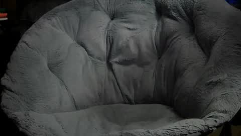 Erik plays hockey online show from November 11, 2025, 10:21 pm