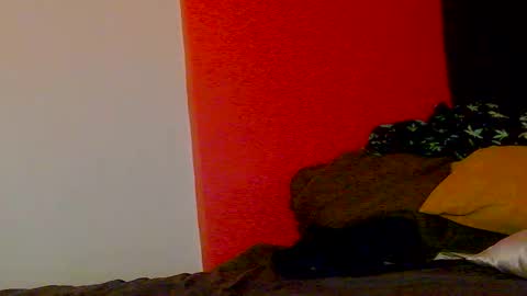 Snapshot of erotica_angel chatting on February 20, 2026, 10:16 am Nikki Erotica online show from February 20, 2026, 10:16 am