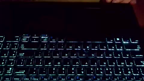 Erwins room welcome sound on online show from January 15, 2025, 1:56 am