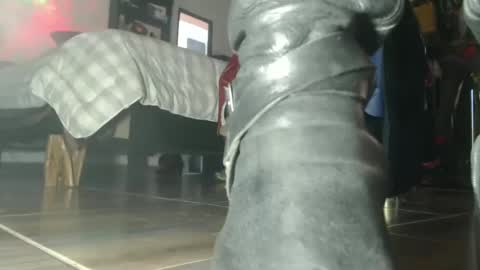 Eskela911 online show from October 6, 2025, 7:44 pm