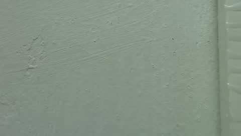 Estrella online show from February 15, 2025, 11:50 am