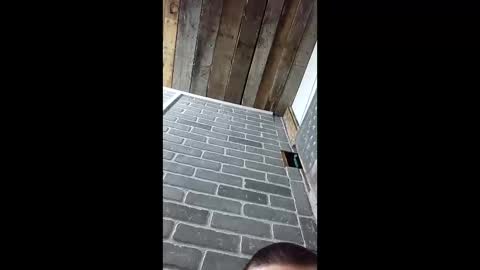 Snapshot of ethanfish600 chatting on March 3, 2026, 7:25 am ethanfish600 online show from March 3, 2026, 7:25 am