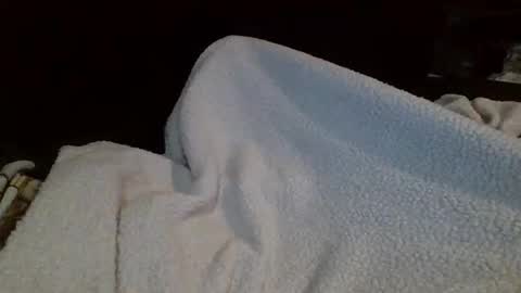 Snapshot of eu369033 chatting on February 25, 2026, 8:07 pm eu369033 online show from February 25, 2026, 8:07 pm