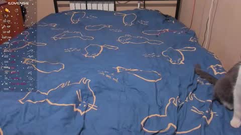 Snapshot of eva_zero chatting on January 13, 2026, 3:06 pm Eva online show from January 13, 2026, 3:06 pm