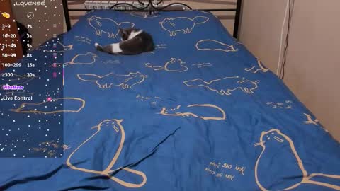 Snapshot of eva_zero chatting on February 8, 2026, 2:09 pm Eva online show from February 8, 2026, 2:09 pm