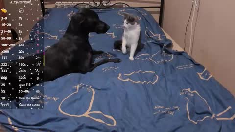 Snapshot of eva_zero chatting on March 3, 2026, 2:01 pm Eva online show from March 3, 2026, 2:01 pm