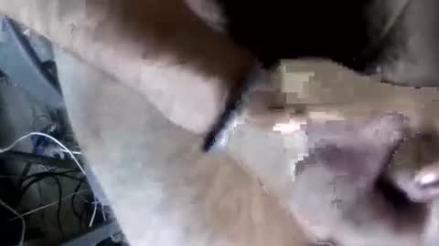 eveline_figeroa3 online show from June 26, 2026, 1:21 am