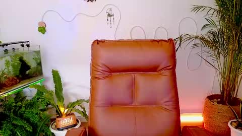 Snapshot of evelyn_chelle chatting on May 1, 2026, 11:42 pm Im Eve or Chelle Next Stream 191224 online show from May 1, 2026, 11:42 pm